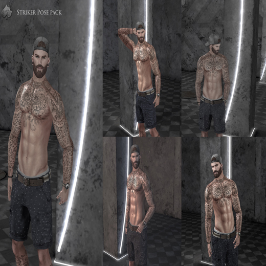 Valor Poses-Striker Pose Pack