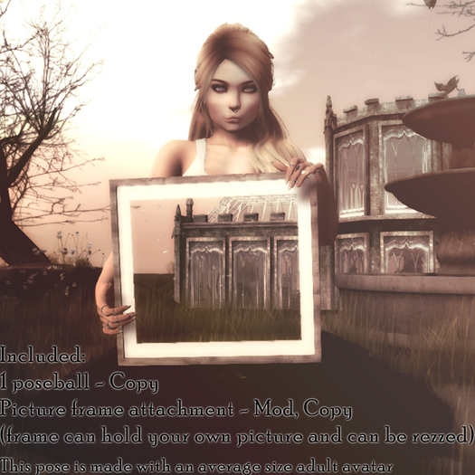 [DANU] ~ Picture Passion ~