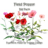 T-Spot Mesh - Field Poppy - Big Pack - Full Perm - LI=0.5