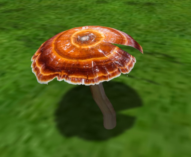 ReshiMushroom02