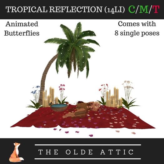 The Olde Attic - Tropical Reflection
