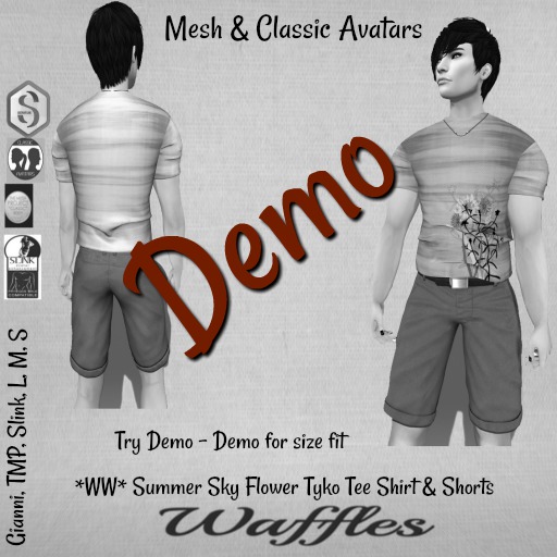 Demo *WW* Summer Sky Flower Tyko Tee Shirt & Shorts