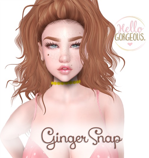 .HG. GingerSnap (Lona) DEMO
