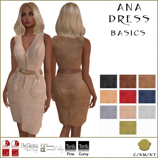 BM Ana Dress Basics