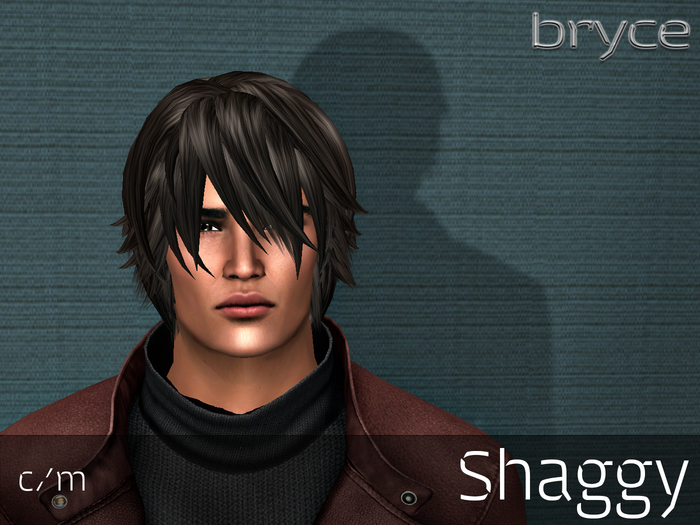 Bryce Designs ~ Demo - Shaggy