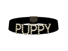 [Px] "PUPPY" Illuminated Choker