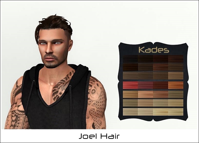 Joel Hair DEMO