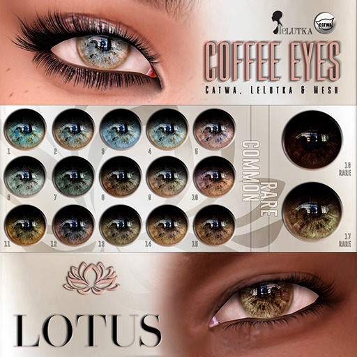 LOTUS. Coffee Eyes 13 BOX