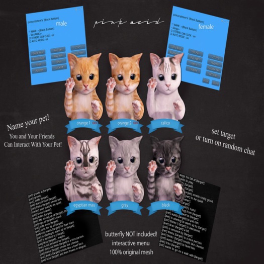 *Pink Acid Busy Kitten Female Calico