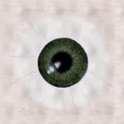 .::AGD::. Forest 1.0 -Real EYES