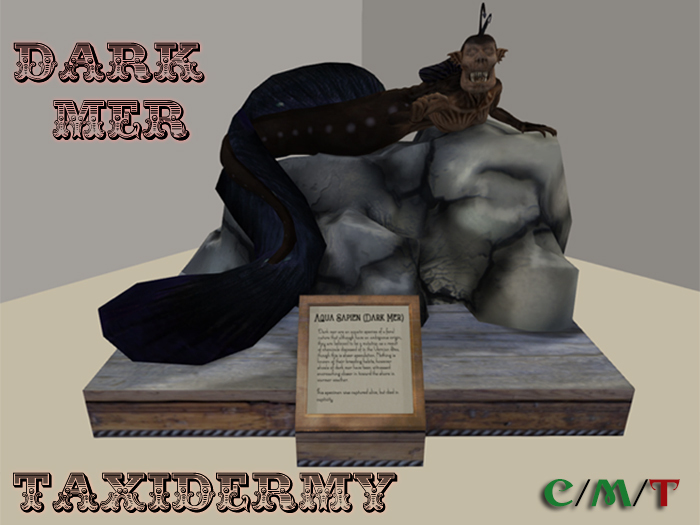 Dark Mer Taxidermy