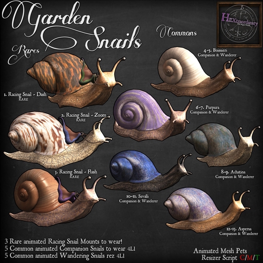 9. *HEXtraordinary* Snail Wanderer - Achatina
