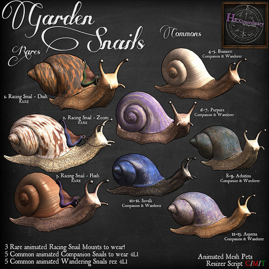 12. *HEXtraordinary* Snail Companion - Aspersa