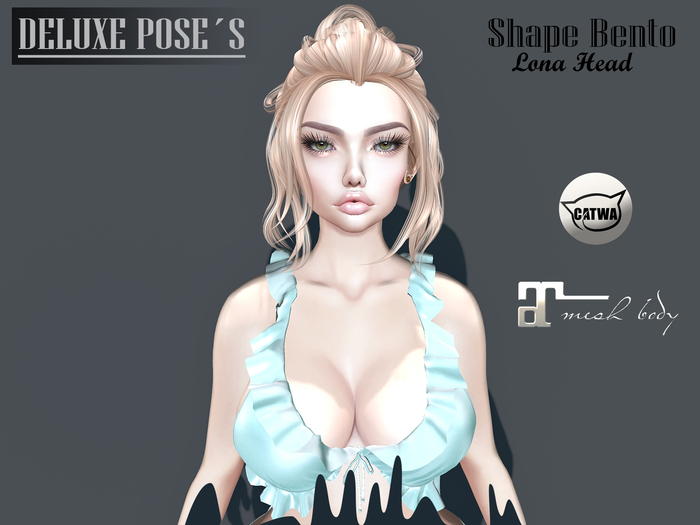 SHAPE BENTO LONA:KATTY