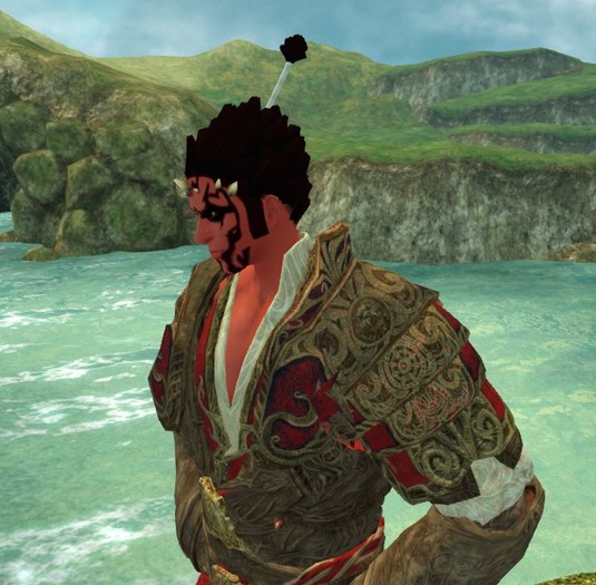 Warrior hair
