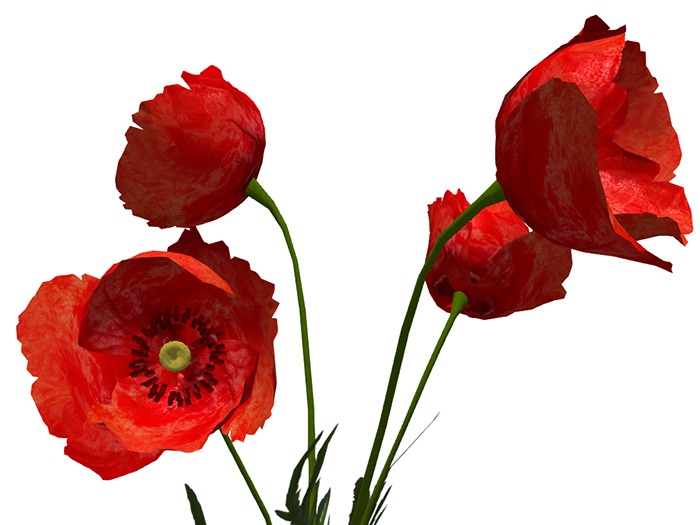 Poppy Flower Pack - Full Perm