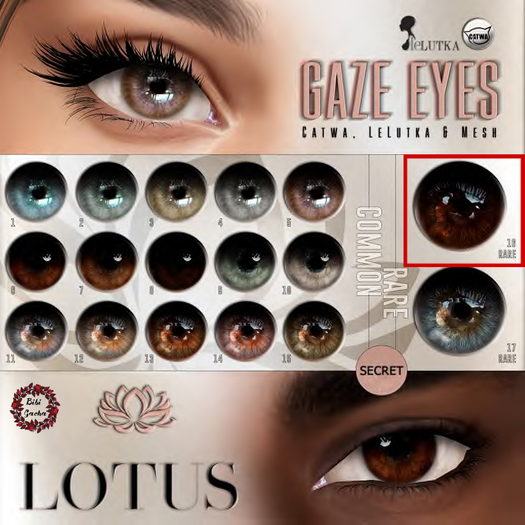 LOTUS. Gaze Eyes 16 RARE