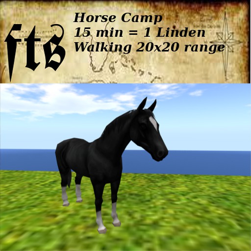 Horse Camp