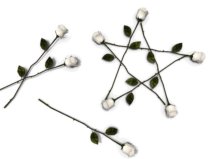 12/.a. DIY Love Potion - Ritual Roses {WHITE}