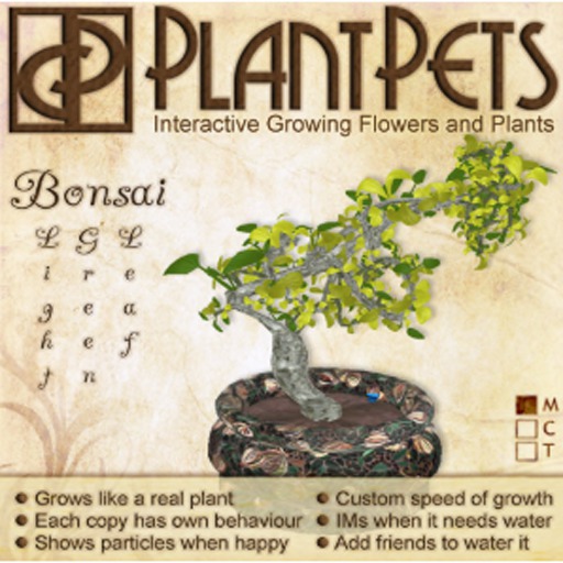 PlantPet Seed [Bonsai *Light Green Leaf*] RARE