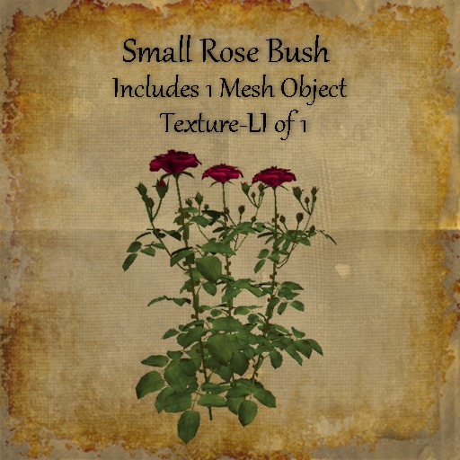 Bad Katz Small Rose Bush