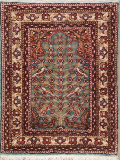 Rug 54