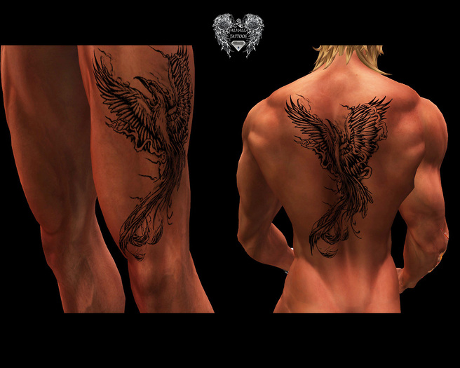 Phoenix Asthetic back & leg