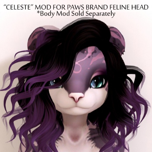 Celeste Paws Head: Paradise
