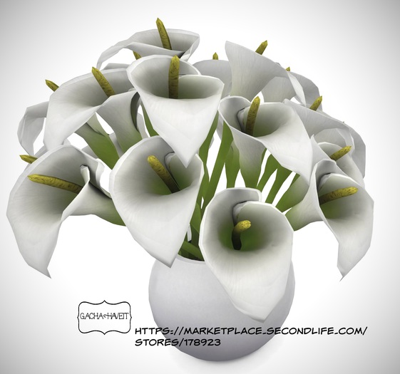 AF Calla Lilies Apple Fall Country Estate Retired