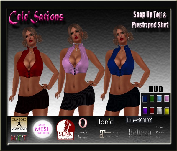 [CS] Snap Top & Pinstriped Skirt (BOXED)