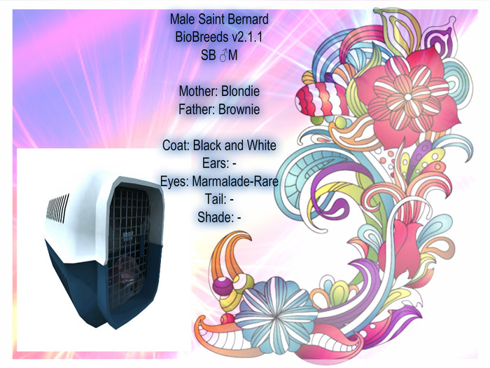 BB SB Box-Male