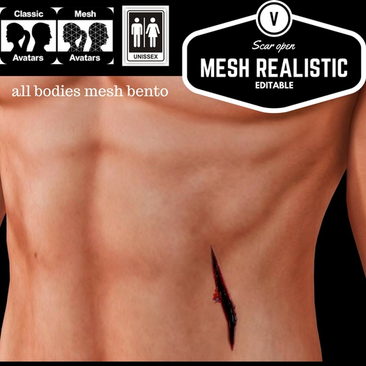 *Seek* Scar real chest