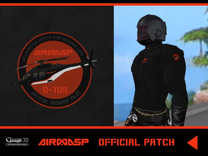 Gaagii - Official Airwasp Pilot ARM PATCH