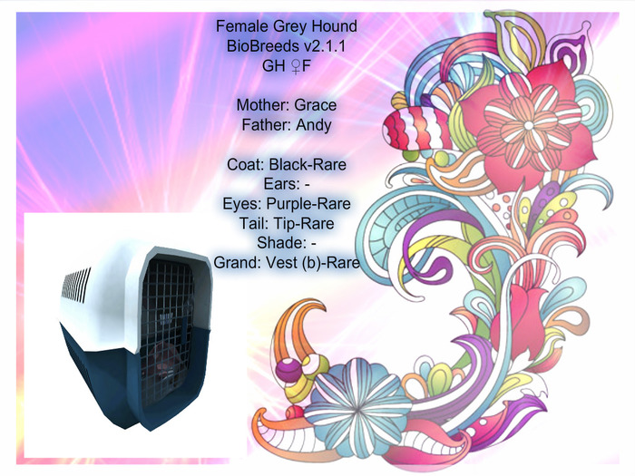 BB GH Box-Female