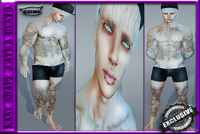 [TD] Kane Shape [BENTO-CATWA]