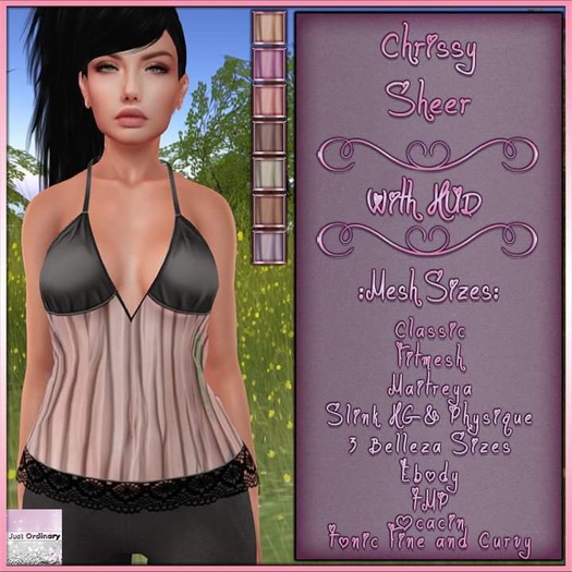 Chrissy Top With Hud Sheer