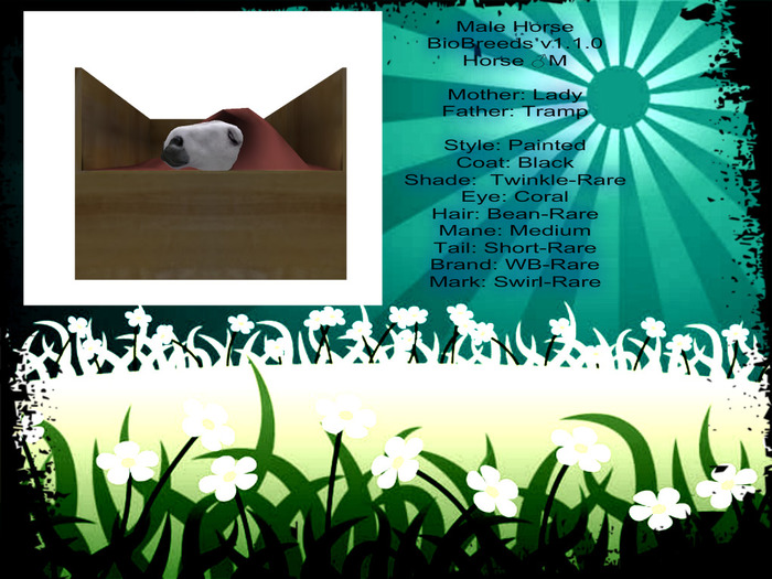 BB Horse Box
