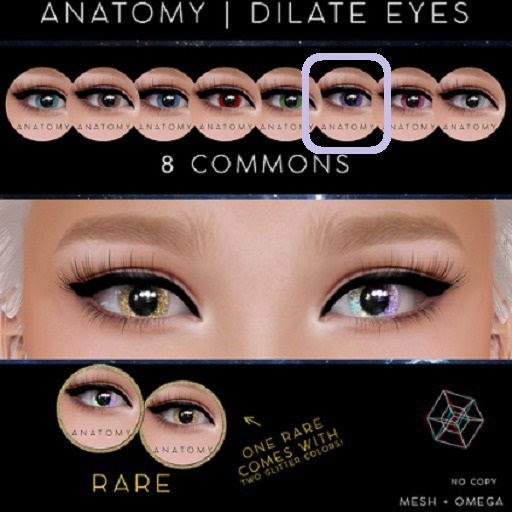 ANATOMY - DILATE EYES - COMMON - PURPLE