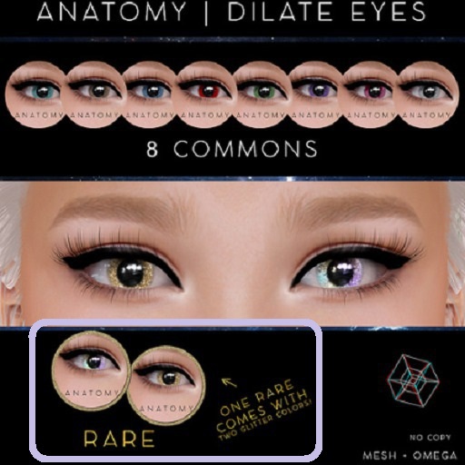 ANATOMY - DILATE EYES - RARE
