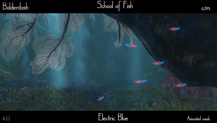 Balderdash - Fish School - Electric Blue c/m