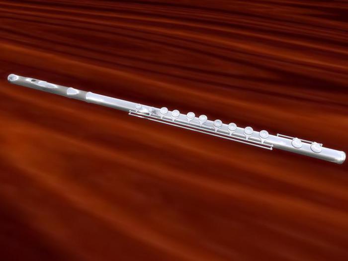 TM Silver Flute Prop