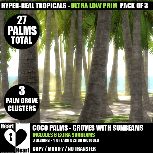 Palms - Coco Palm Groves With Sunbeams