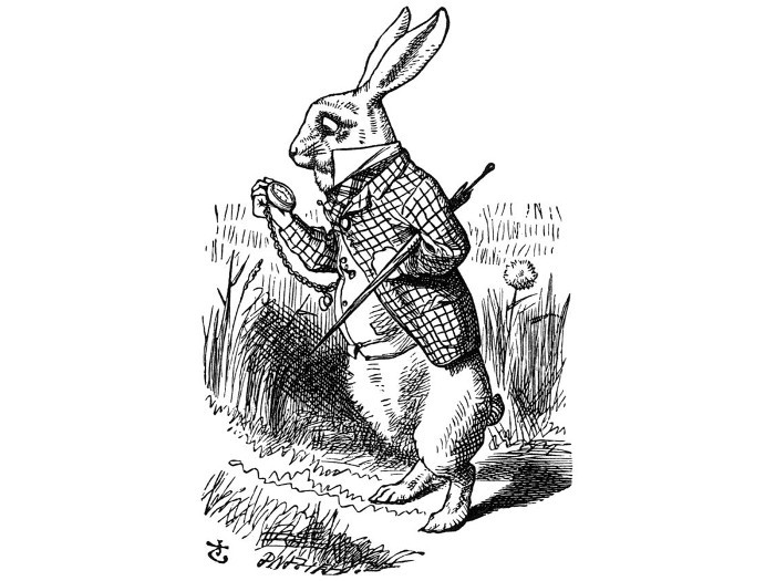 Wolma's 'White Rabbit' Avatar Follower