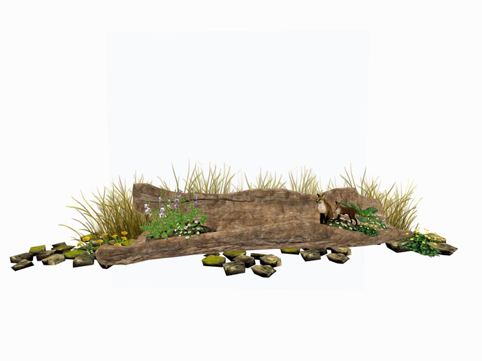HOLLOW TREE GARDEN w FOXES c