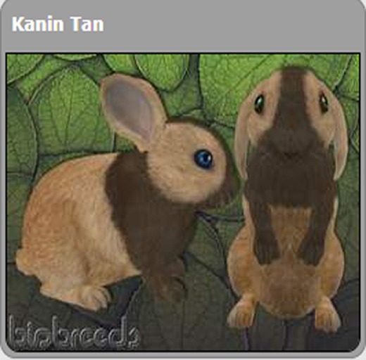 BB Bunny Box - Kanin Tan Male (mini)