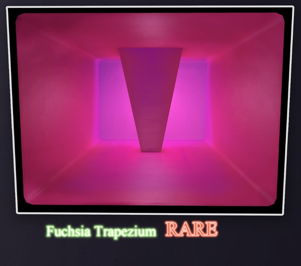RAMA - #selfie_RAMA Fuchsia Trapezium RARE