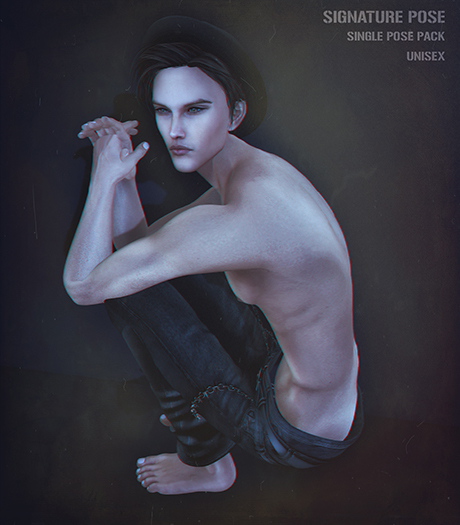 Signature Pose - Pose Set_002