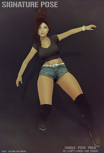 Signature Pose - Pose Set_009