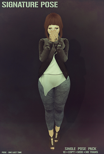 *SALE* Signature Pose - Pose Set_013 (Boxed)