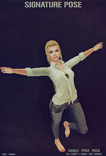 Signature Pose - Pose Set_021 (Boxed)